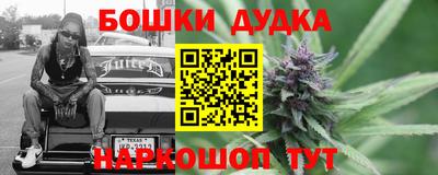 гидра Кимры