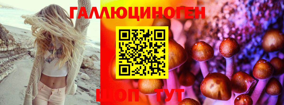 Псилоцибиновые грибы прущие грибы Кохма